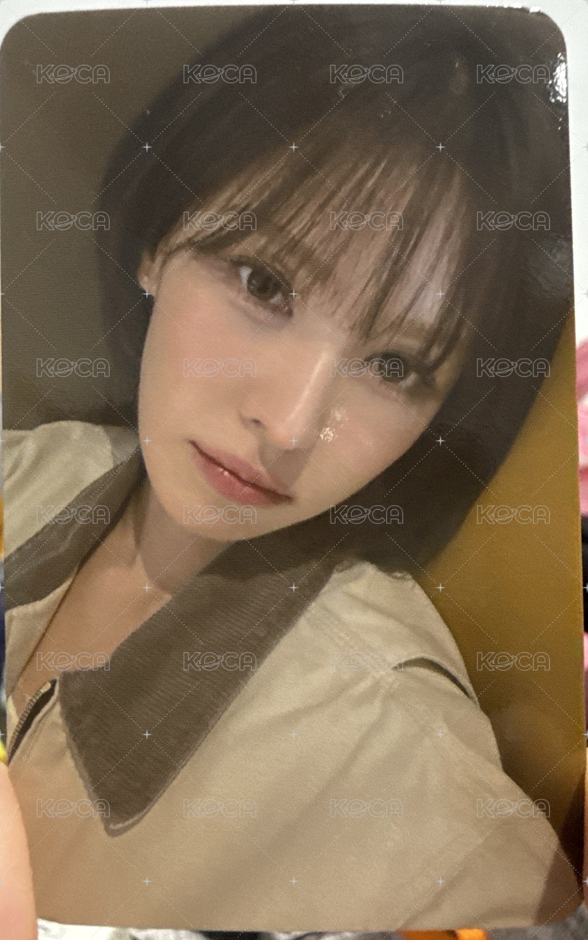 wendy 