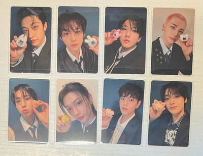 SKZ 電子雞小卡
