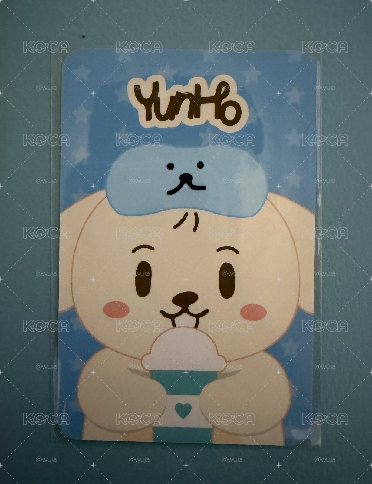 IYF亞巡限定杯套-潤浩(含卡)