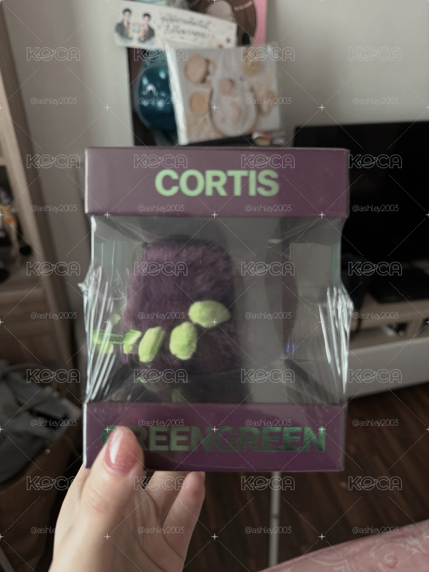 CORTIS 紫色球專