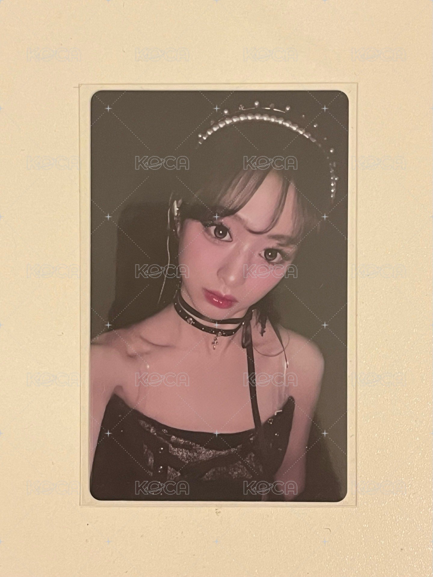 wvs賢