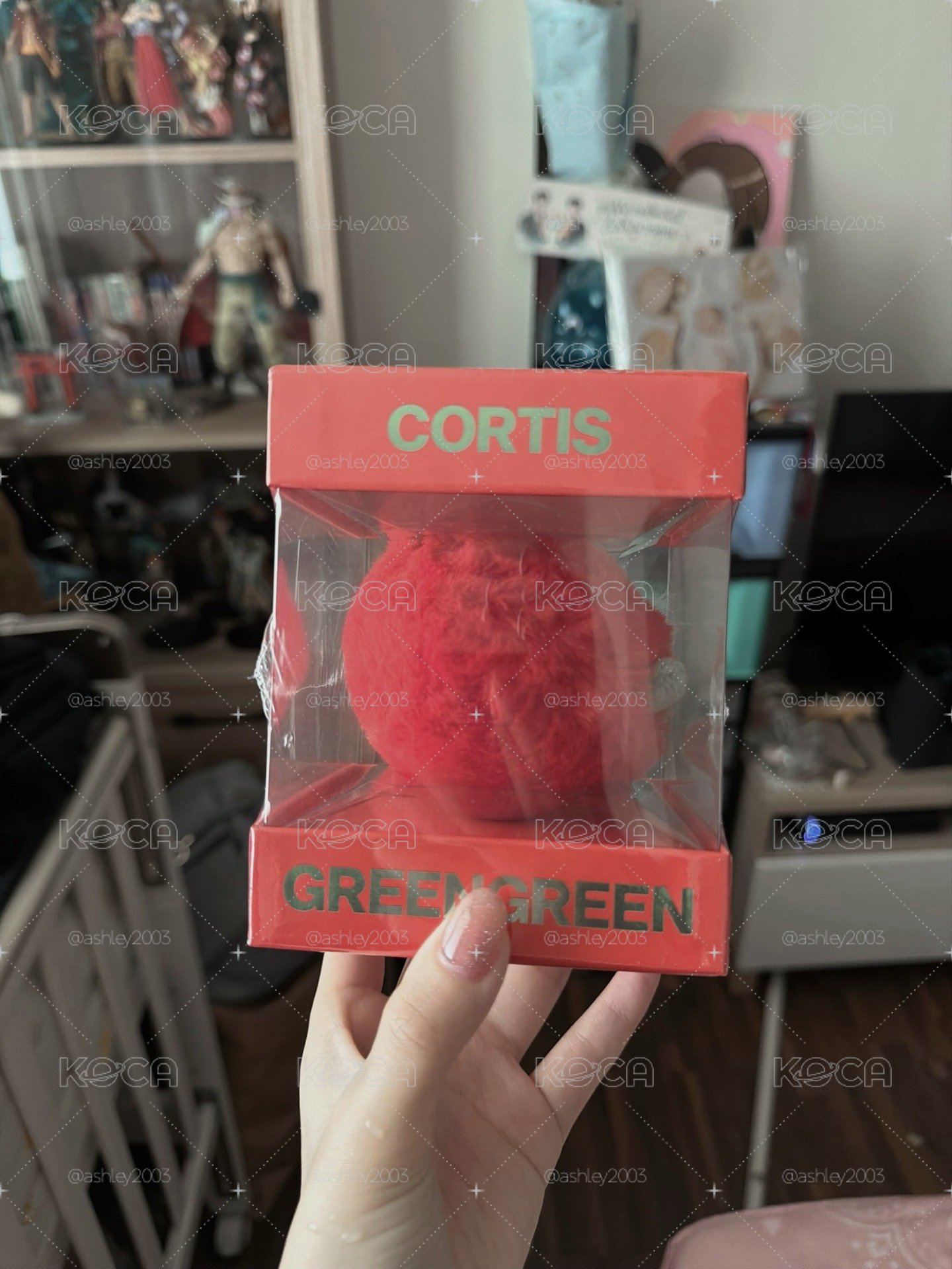 CORTIS 紅色球專