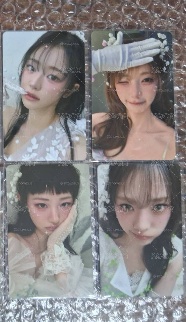 wvs預售早鳥特典