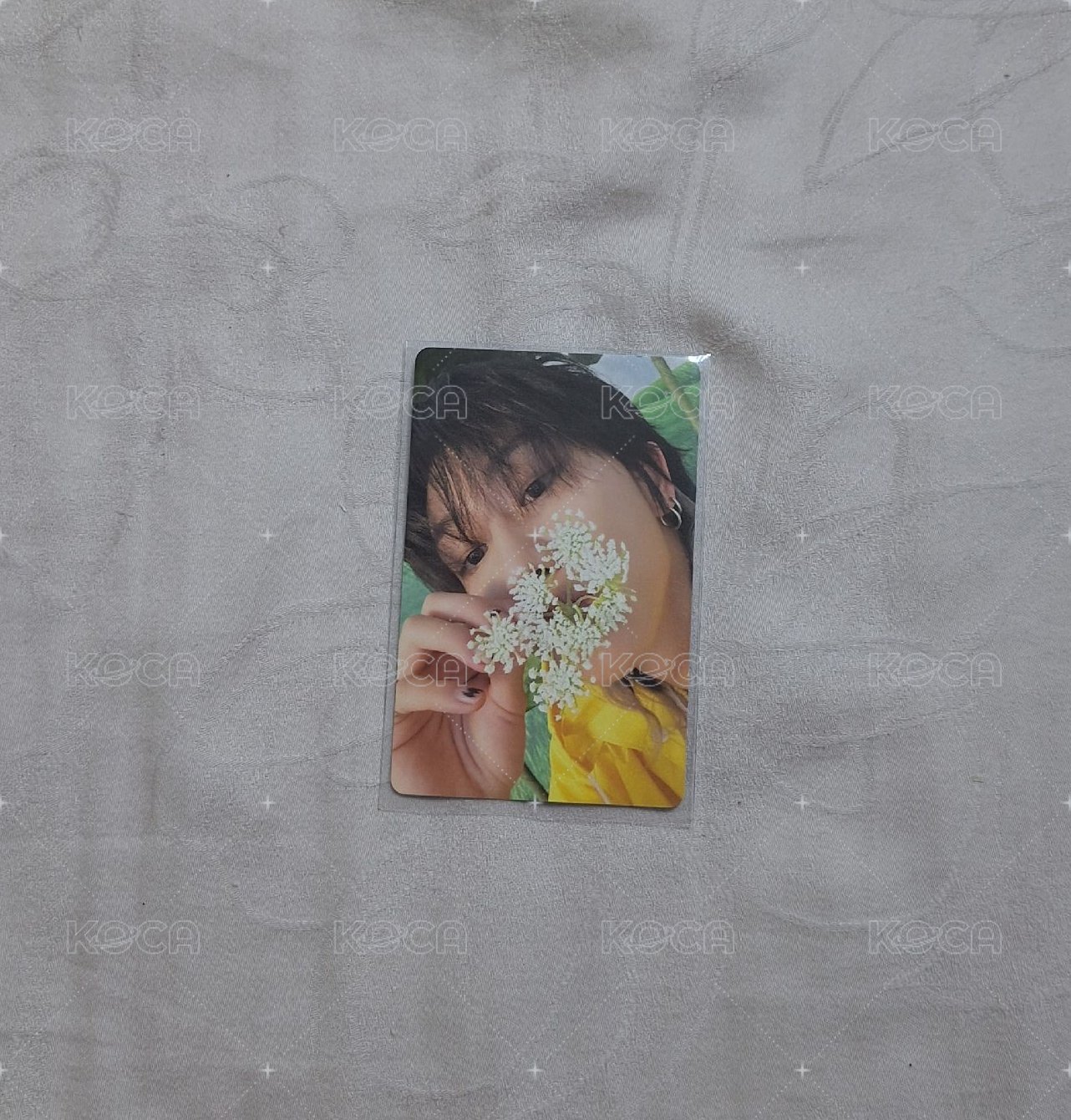 迷11專卡-克拉盤