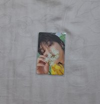 迷11專卡-克拉盤