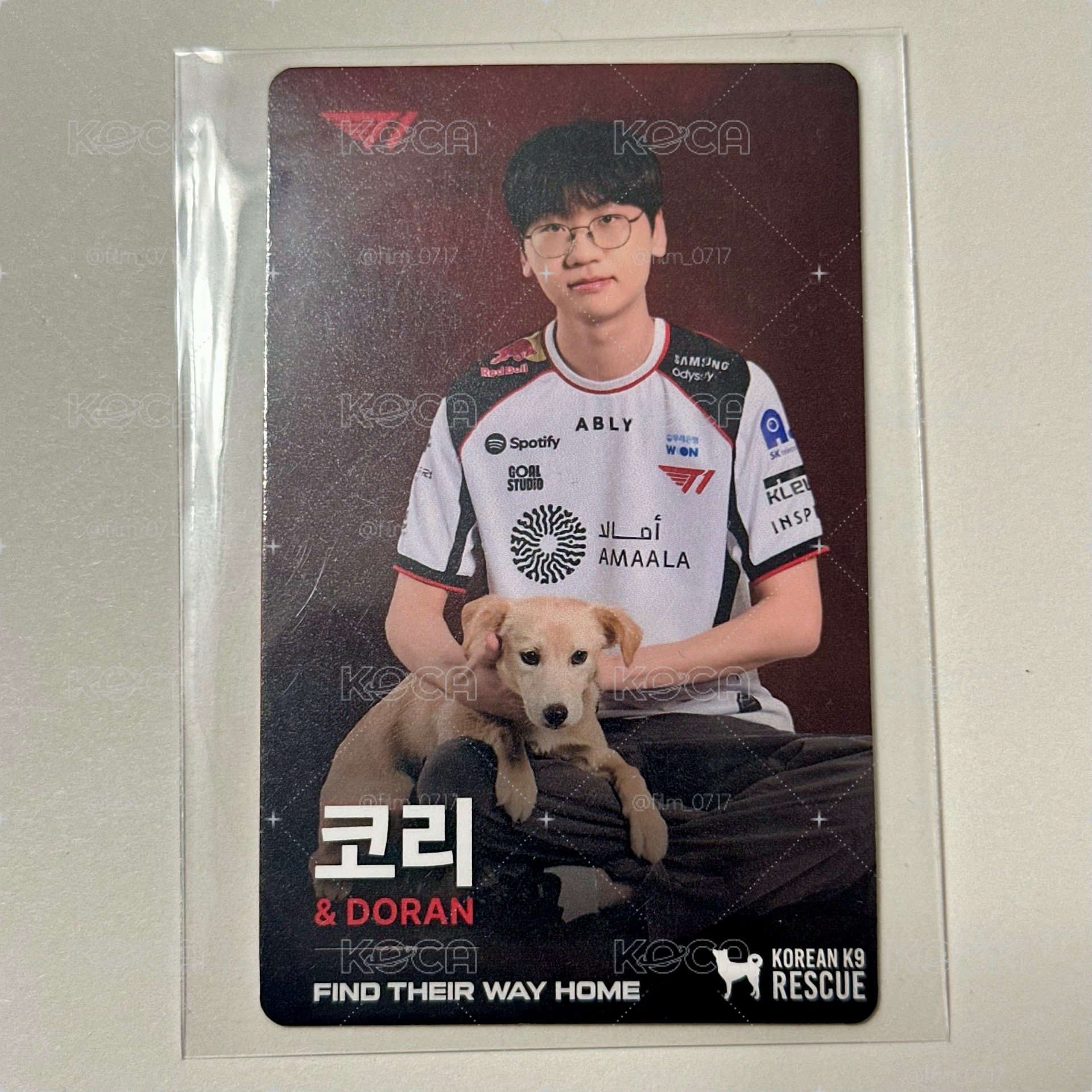 [T1 HOMEGROUND] KK9R 狗狗捐款小卡 도란x코리