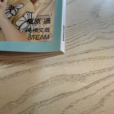 🌻點開預覽❗️GINGER 2023年8月號 雜誌 