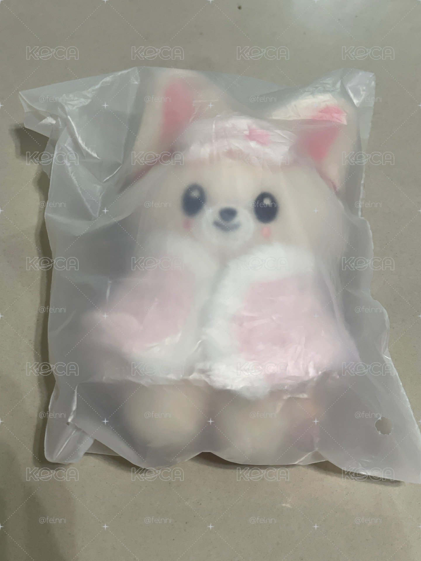 寅十公分娃