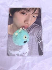 豬董