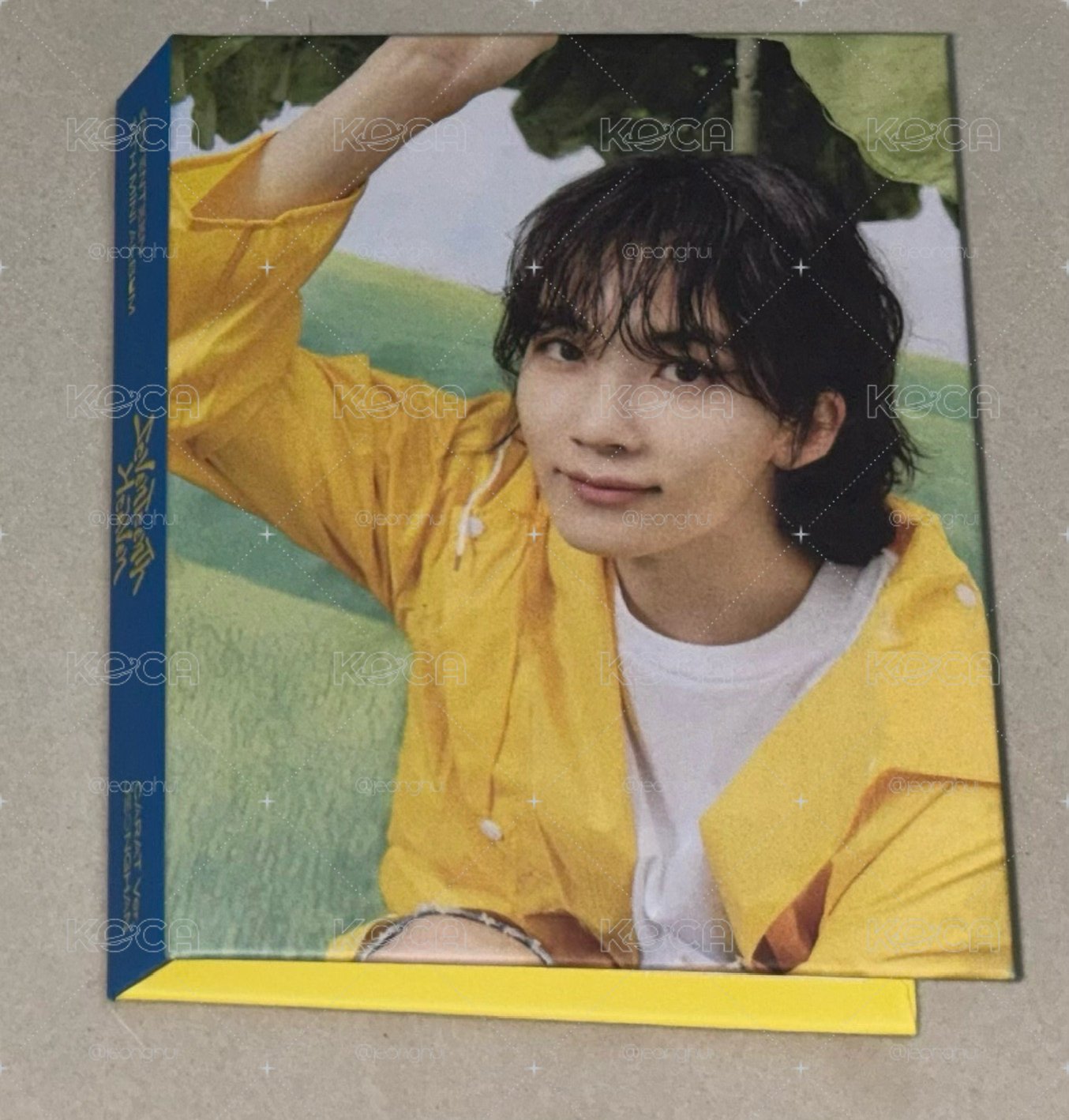 尹淨漢雨衣盤