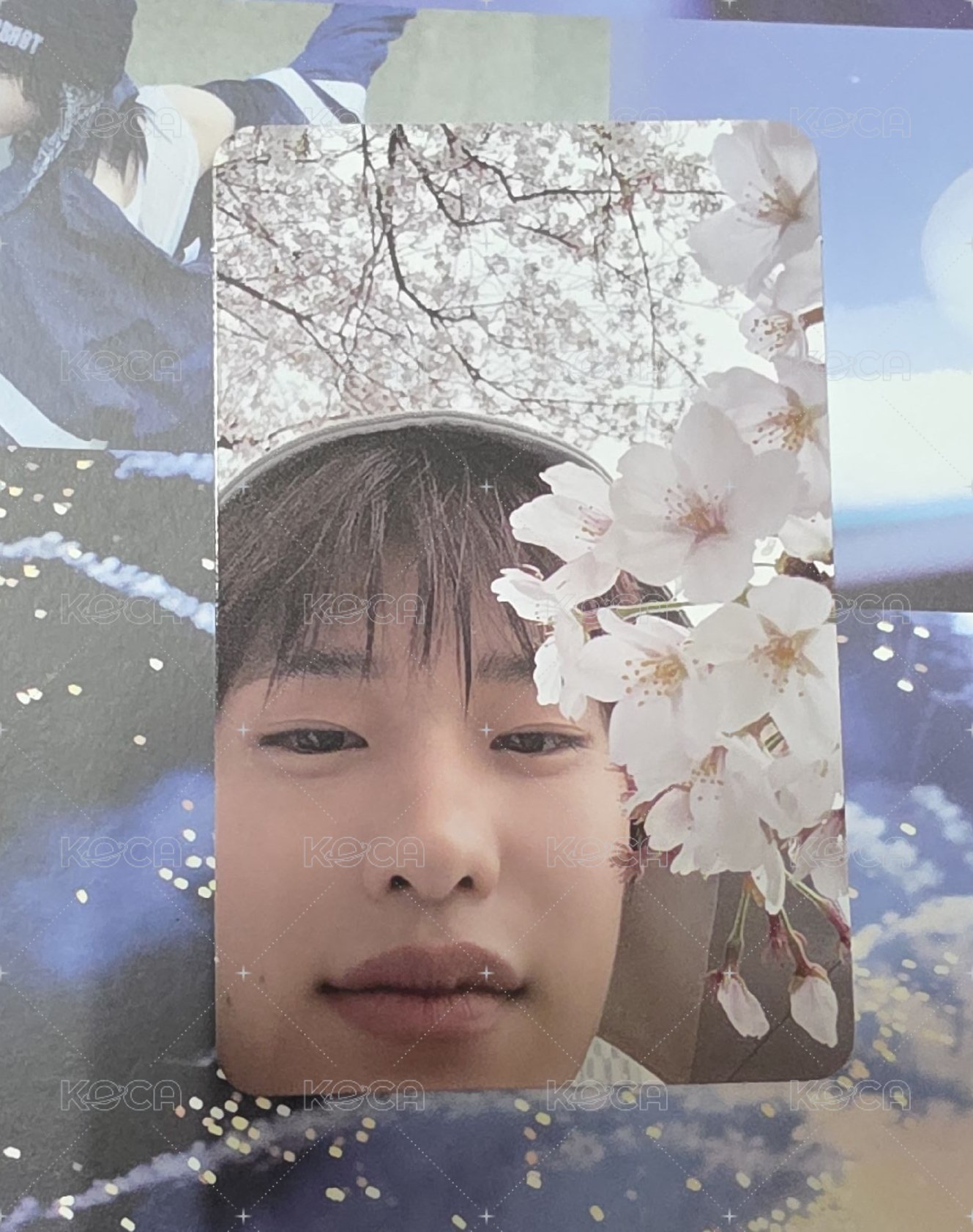 炤熙A