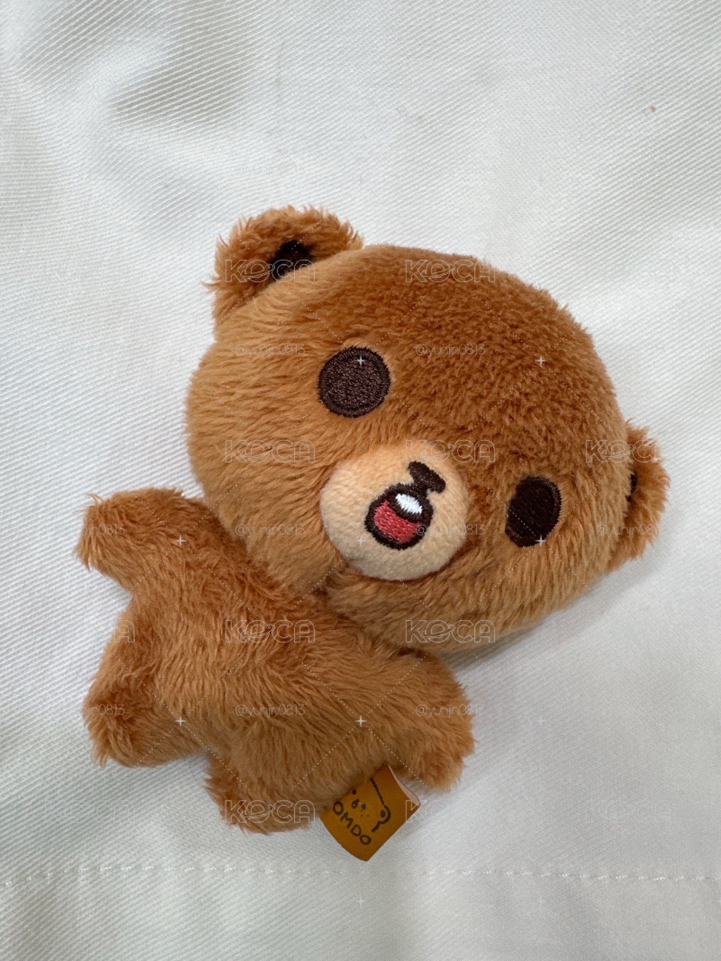 10cm 李東熊