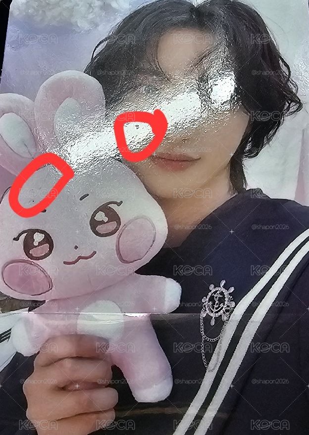 ANITEEZ IN ILLUSION 咚星大娃含卡