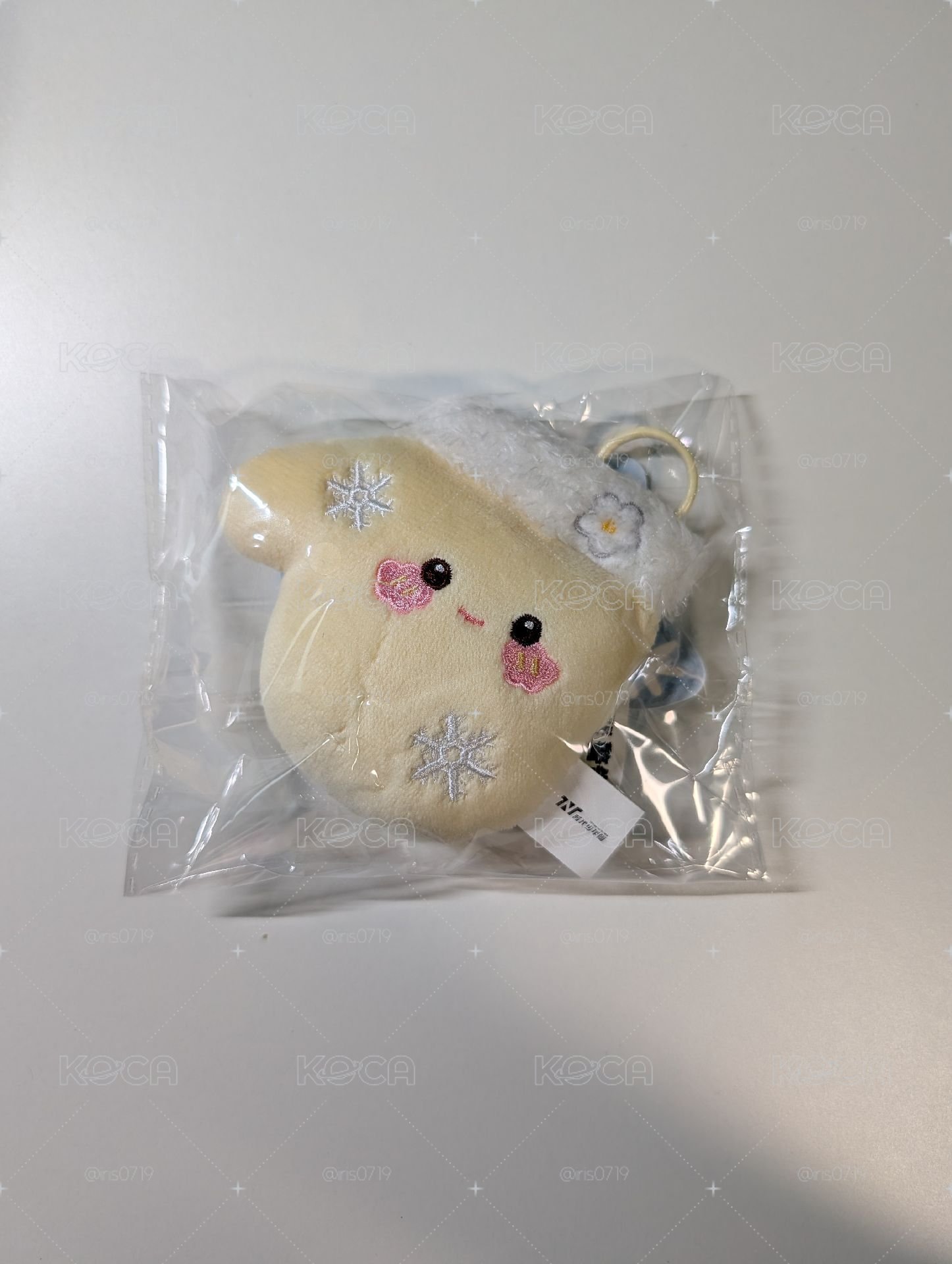 藍冰季 團掛件
