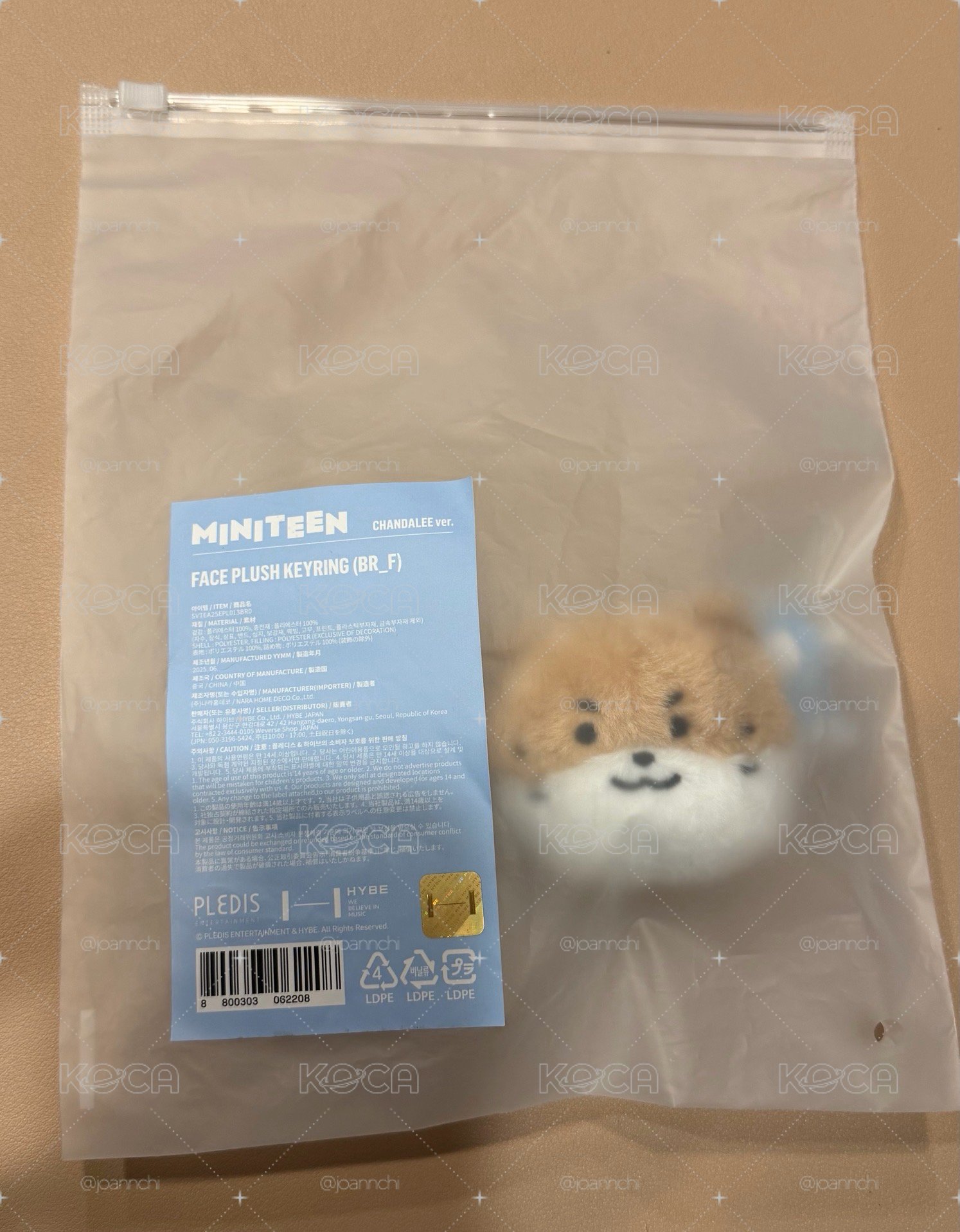 燦噠哩大頭 台中冰淇淋快閃店購入