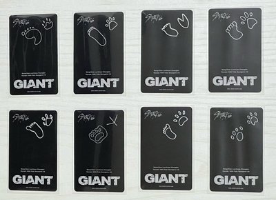 SKZ GIANT 棒棒糖卡