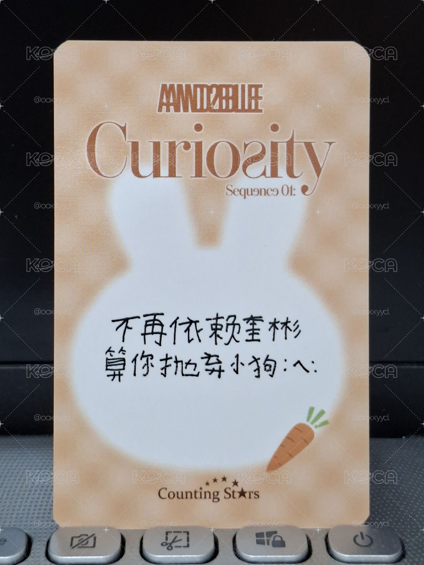 胡蘿蔔兔兔奎 不再依賴奎彬算你拋棄小狗