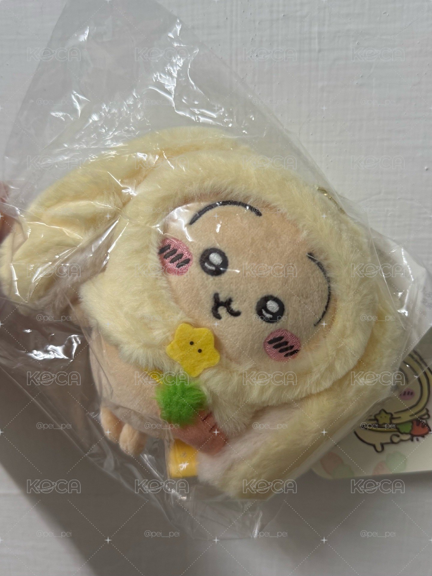 台北常設店 限定垂耳兔