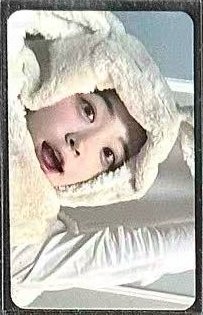 兔毯丹