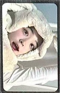 兔毯丹