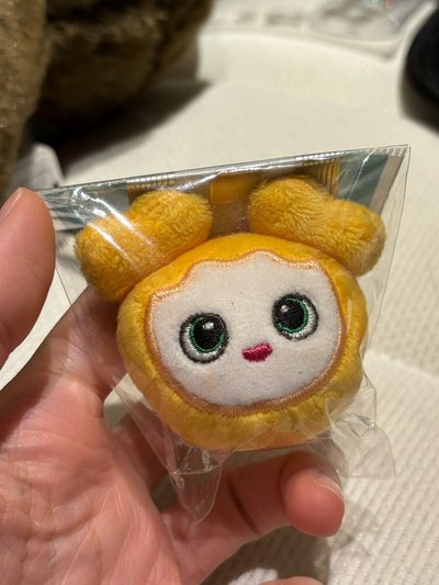 TWICE周邊