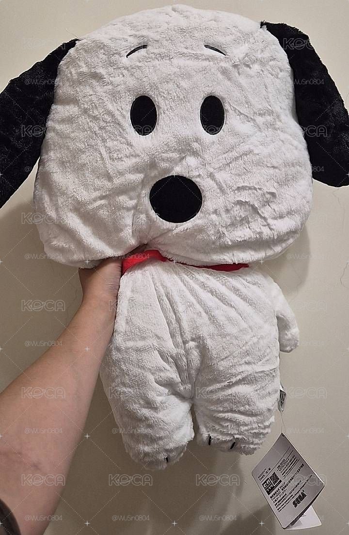 日本帶回景品大娃
