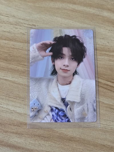 左航 TOP 2025 TF家族新年音樂會 熱愛 小卡