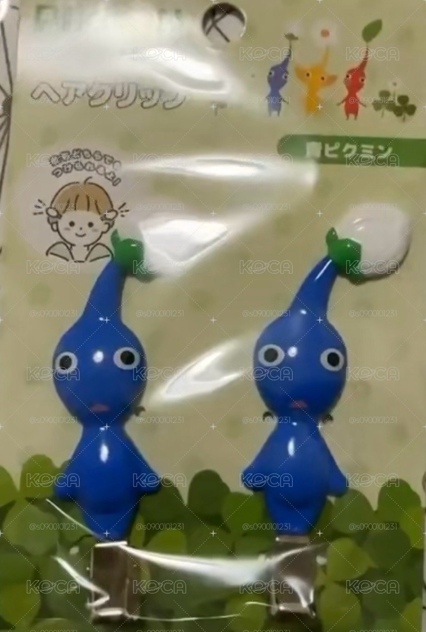 藍皮