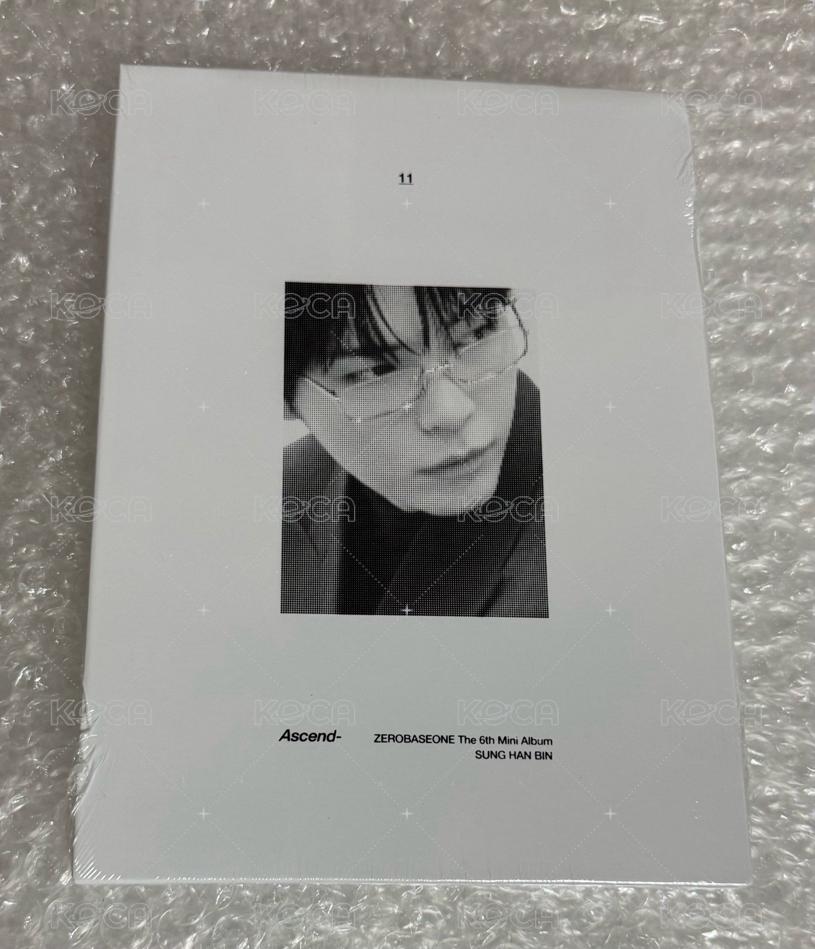 成韓彬，SUNG HAN BIN