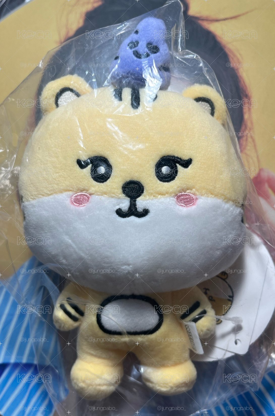 全新潤娃