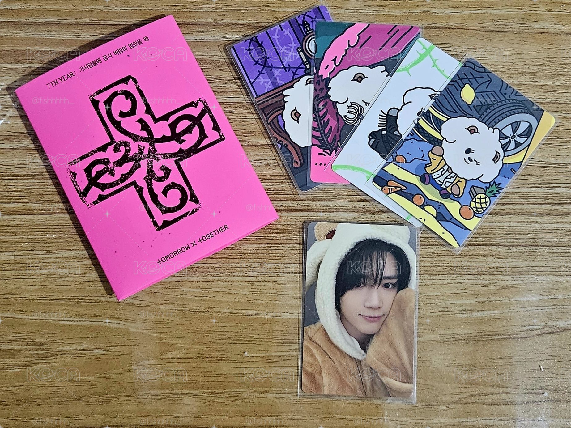 小熊圭