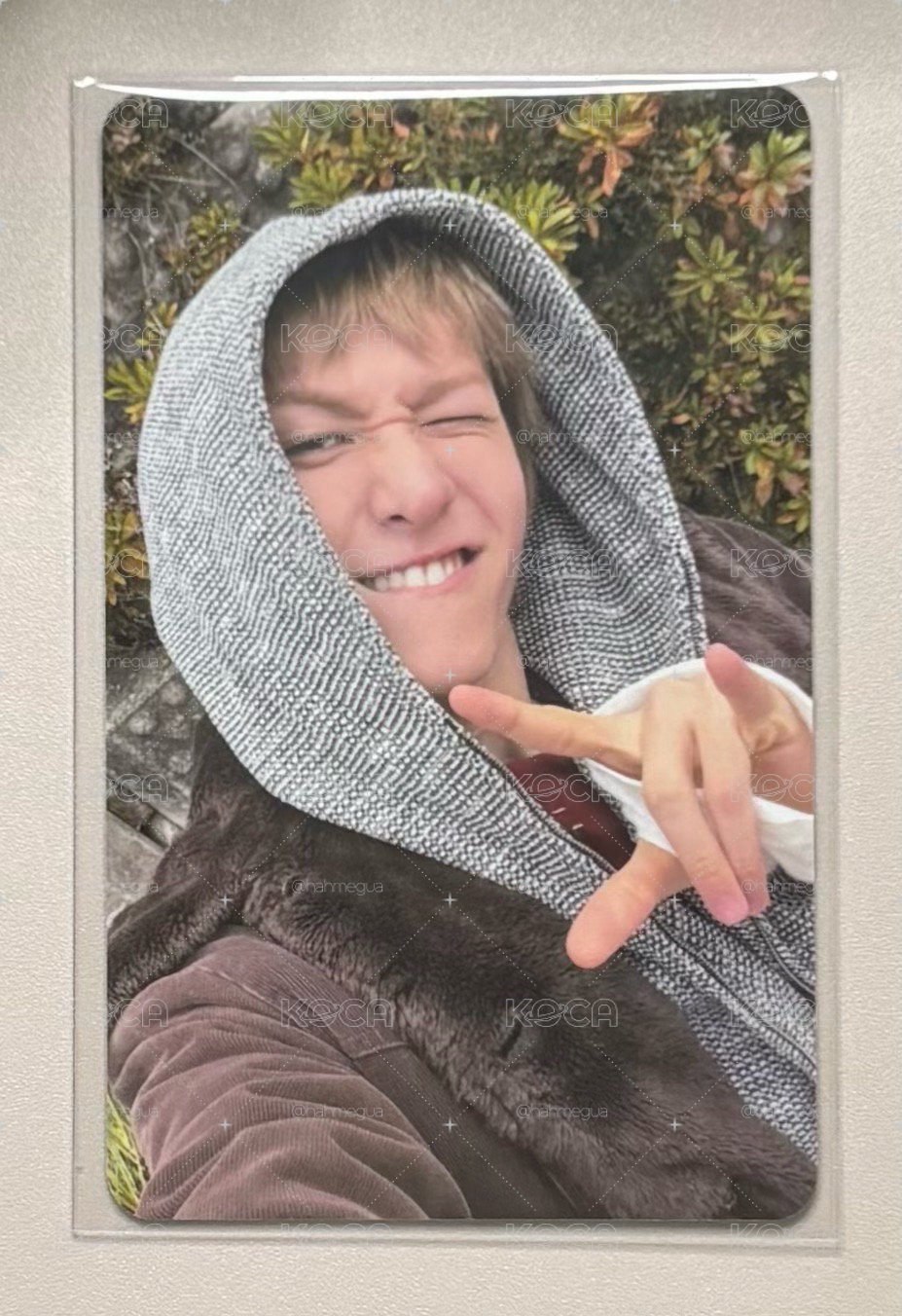 馬丁 el幸運卡