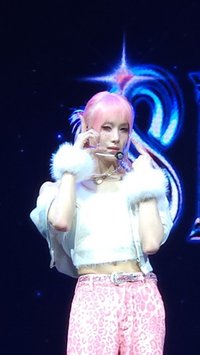 miniseo