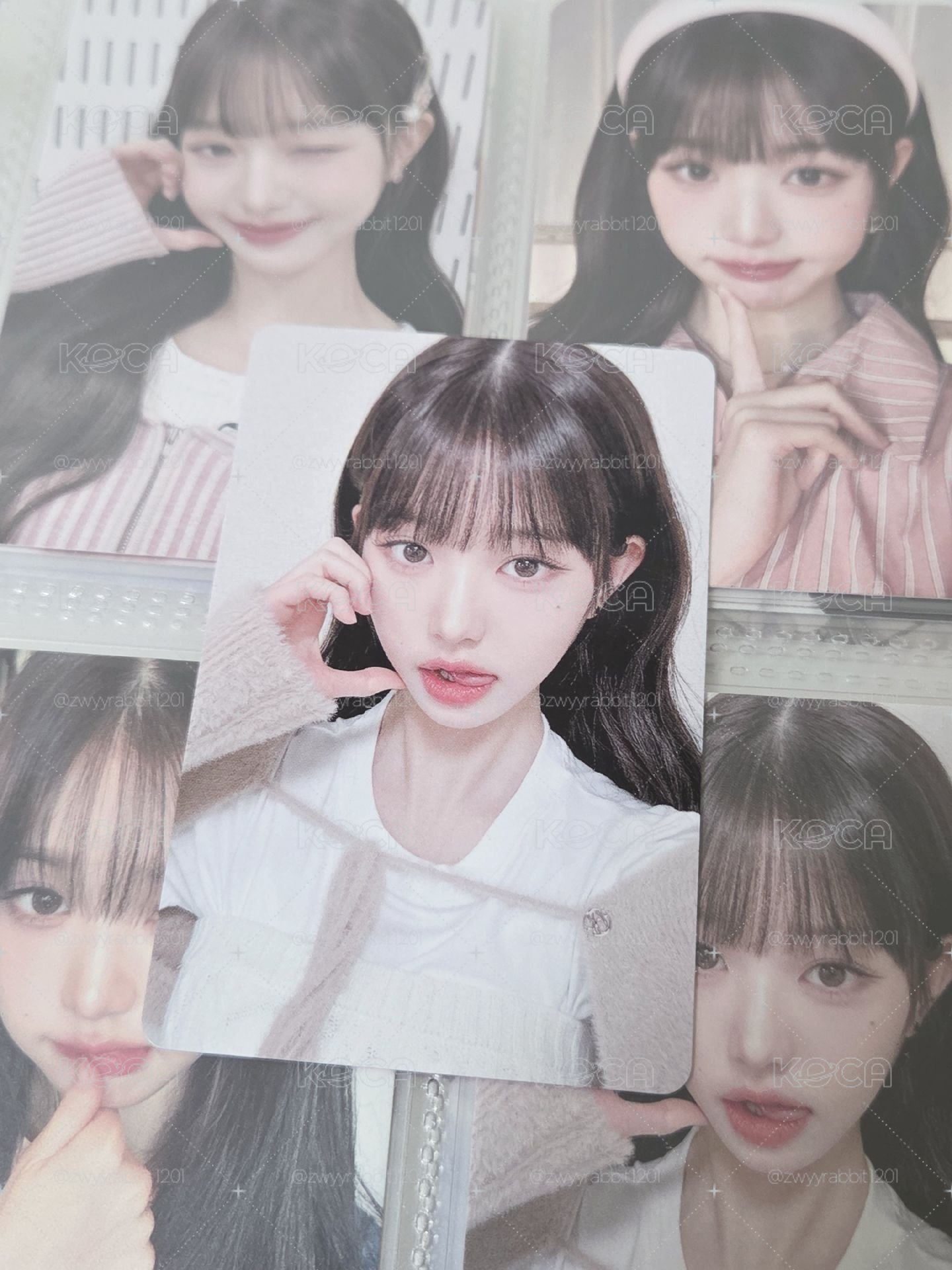 1.31員生日盤