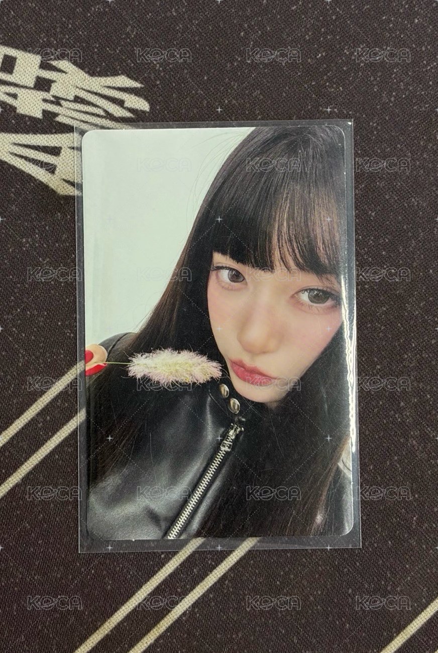 瑞