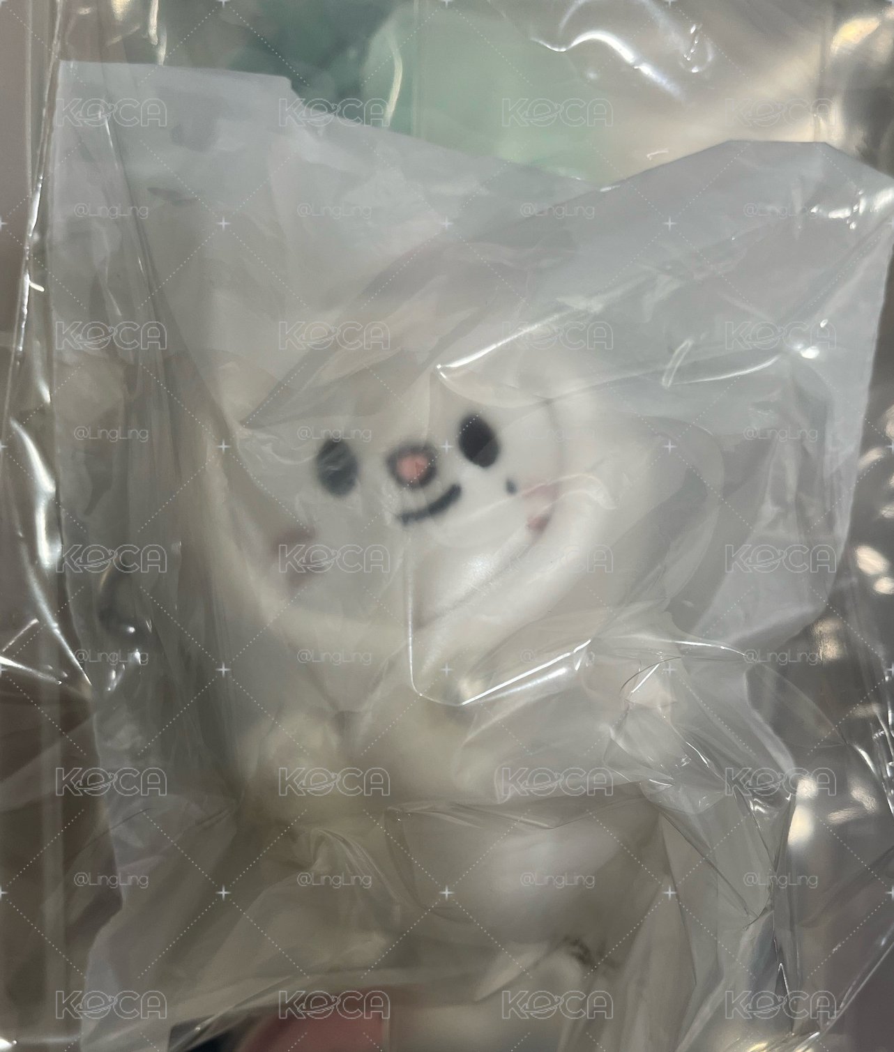 辰 趴娃