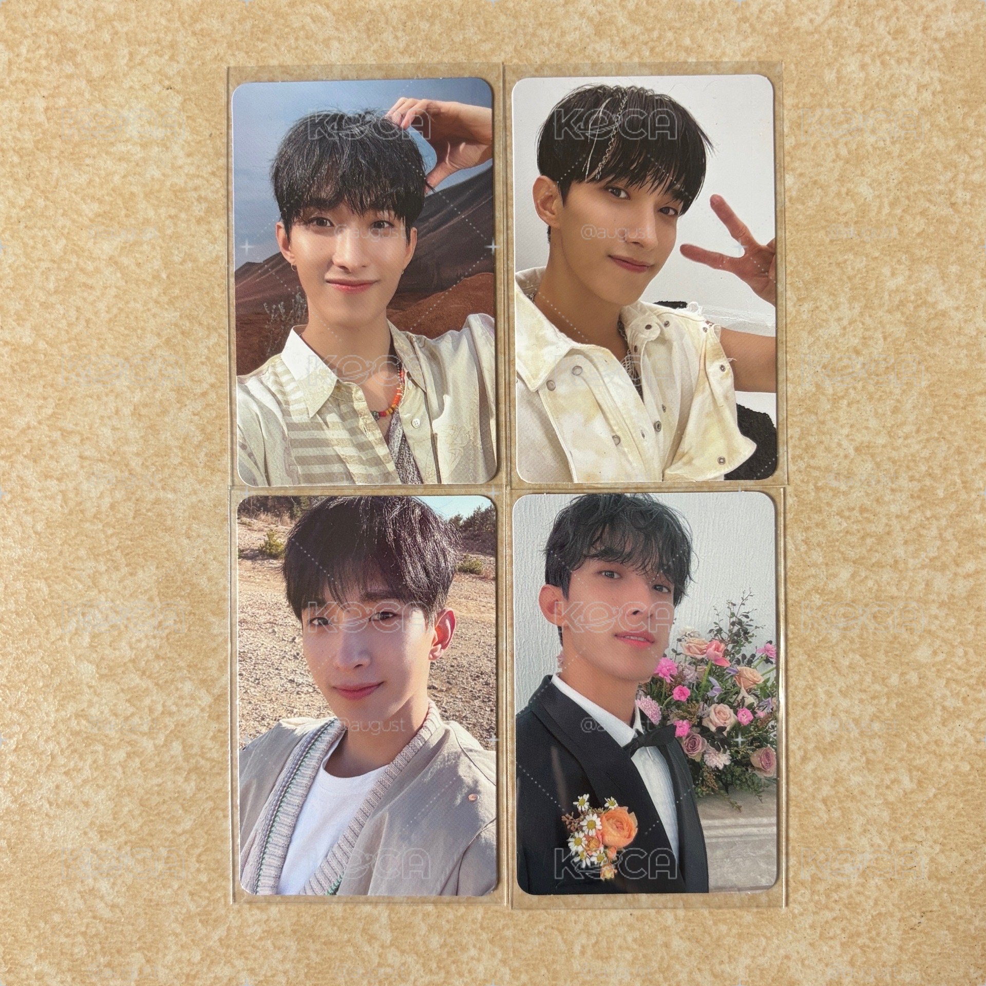 SEVENTEEN 李碩珉 小盤