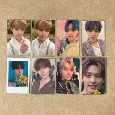 SEVENTEEN 李燦 貝雷+not alone小盤