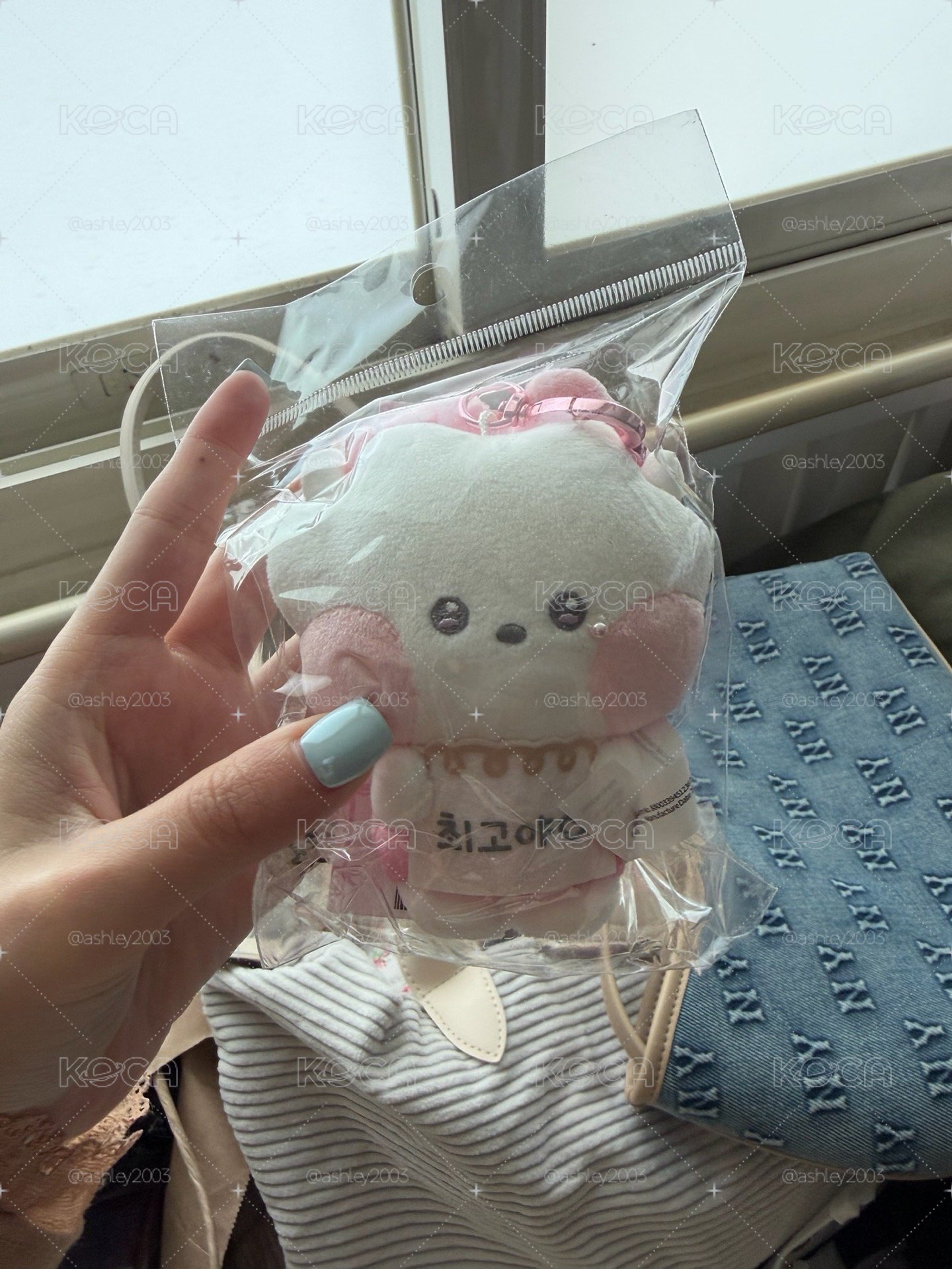 BTS Jin RJ 娃娃
