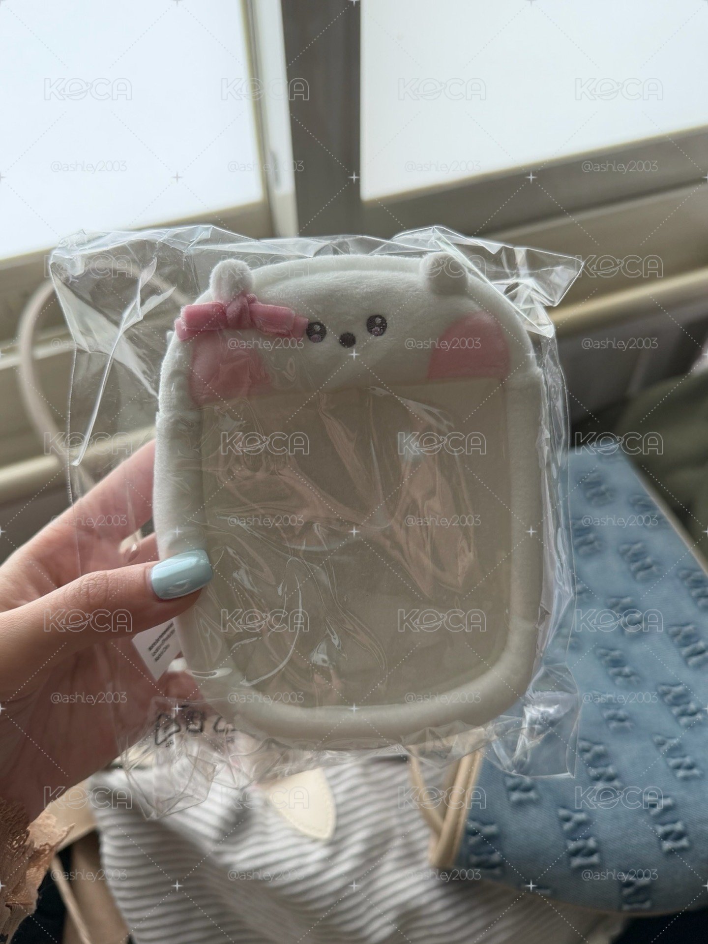 BTS Jin RJ 娃包