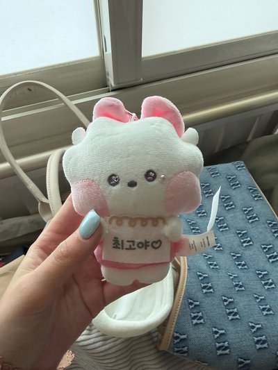 BTS Jin RJ 娃娃