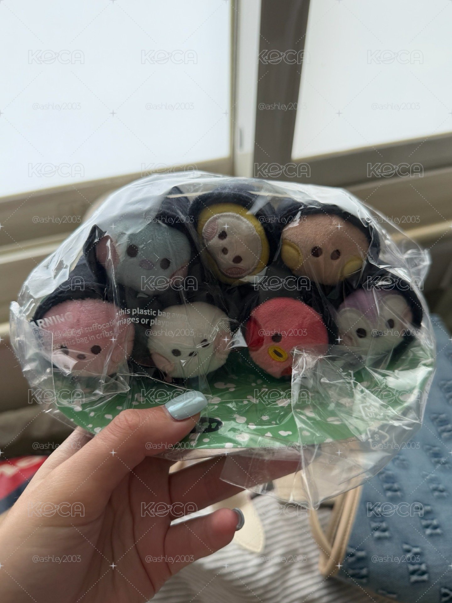 BTS 全員壽司卷