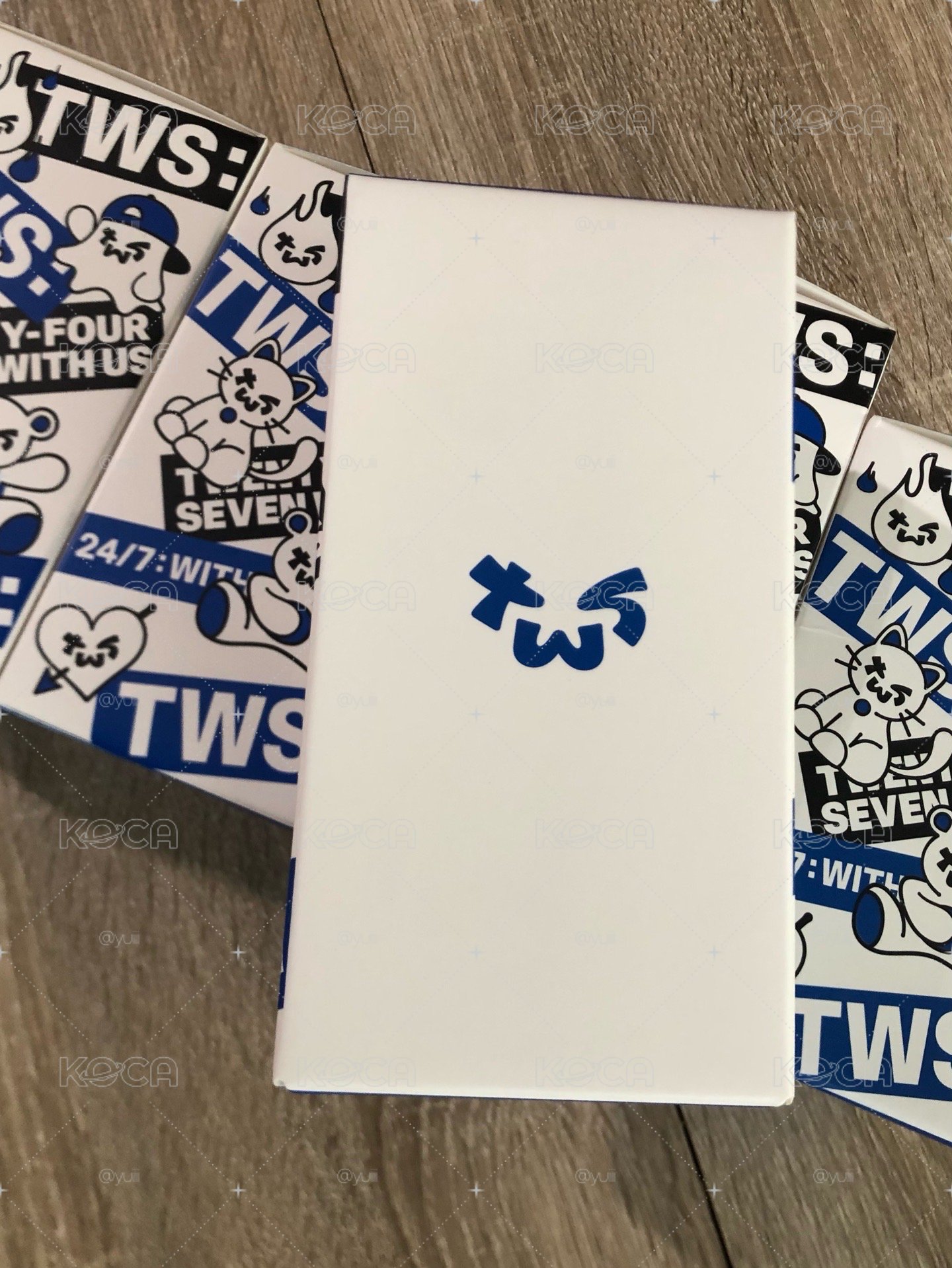 （現貨）TWS 全新官方手燈 紙箱出貨