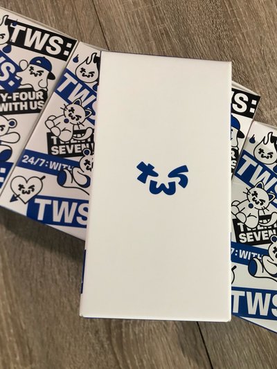（現貨）TWS 全新官方手燈 紙箱出貨