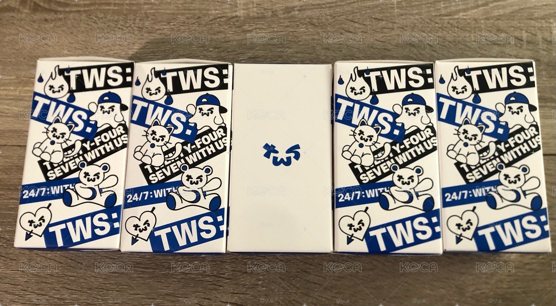（現貨）TWS 全新官方手燈 紙箱出貨