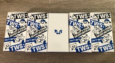 （現貨）TWS 全新官方手燈 紙箱出貨