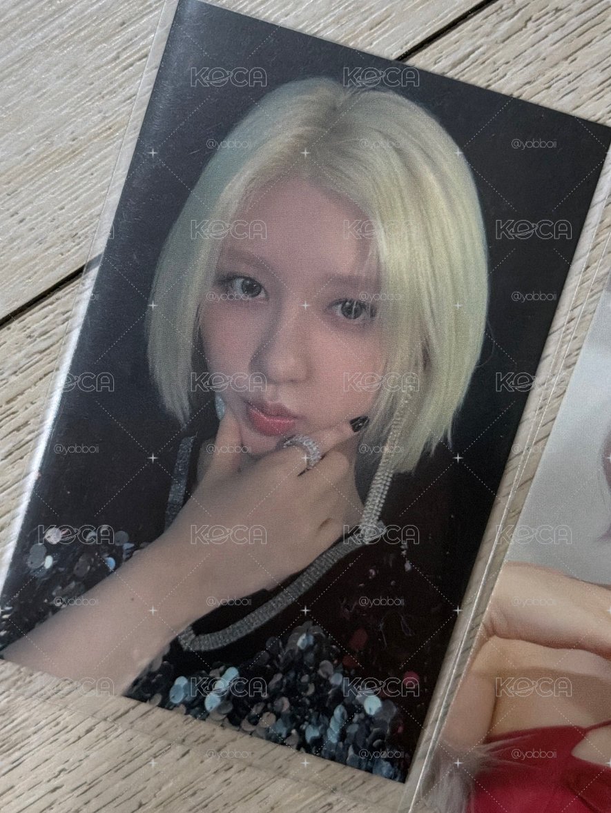 美美秋