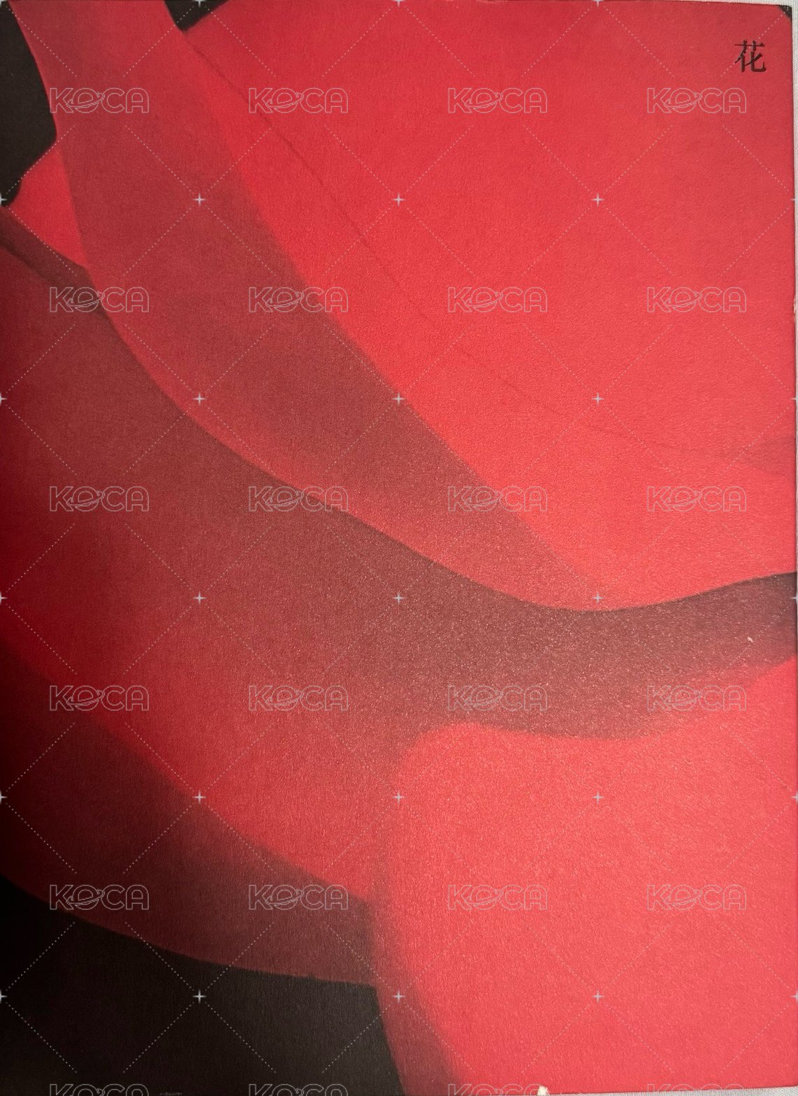 迷四_花空專只有CD PB（$250）
