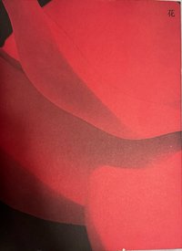 迷四_花空專只有CD PB（$250）