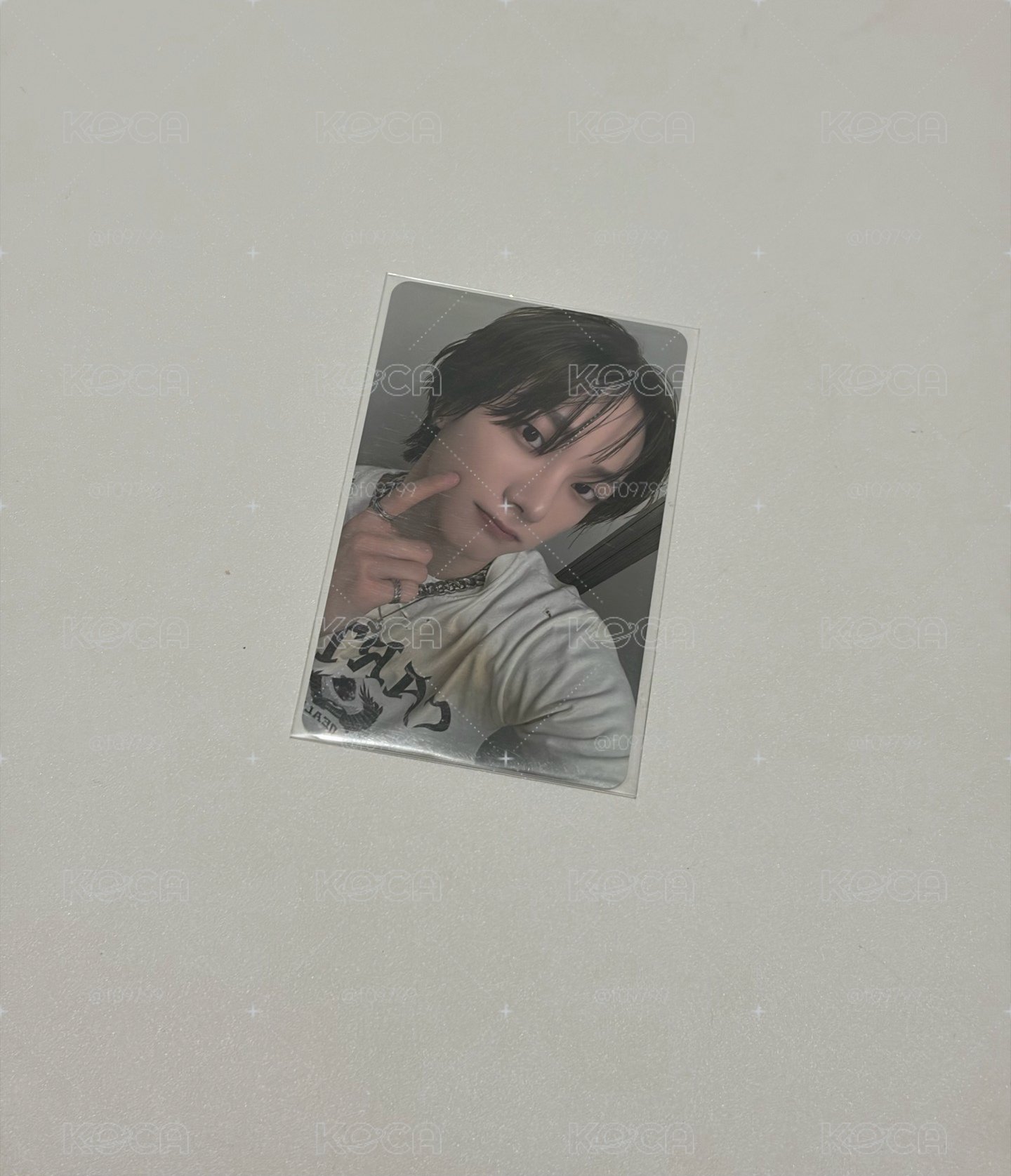 戳臉小貓